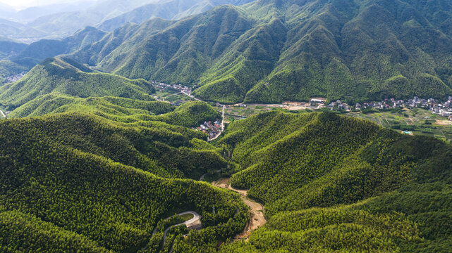 浙江湖州安吉竹山竹海