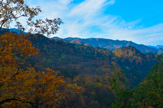 米仓山彩林