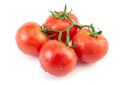白色背景上的一串全景深西红柿