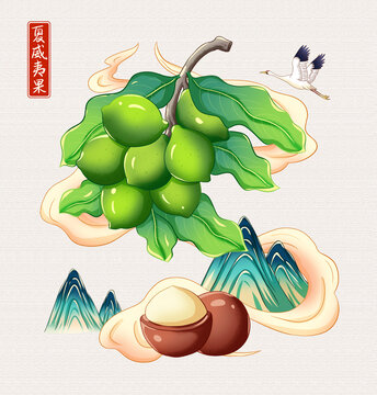 夏威夷果插画手绘