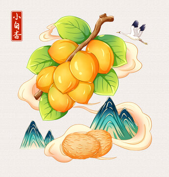 小白杏插画手绘