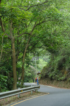 深圳马峦山郊野公园盘山道景色