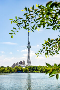 诸城风景