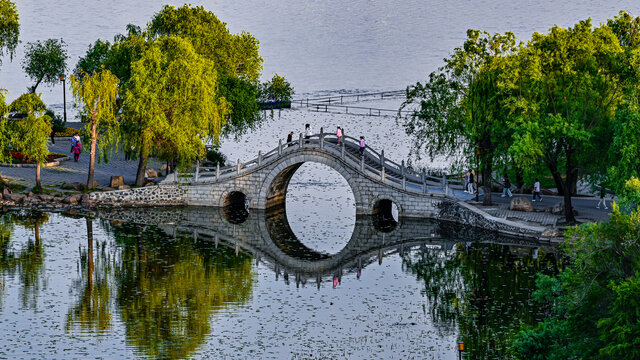 夏日里的中国长春南湖公园风景