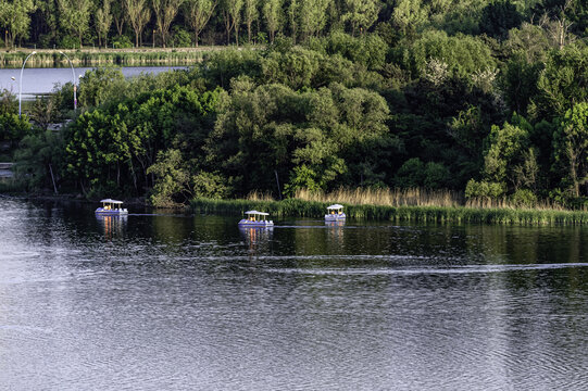 夏日里的中国长春南湖公园风景