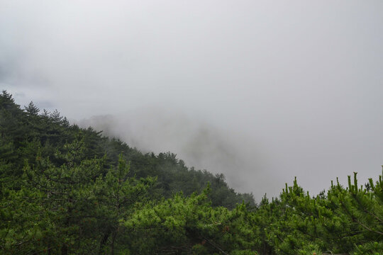 安徽安庆潜山市雾漫天柱山