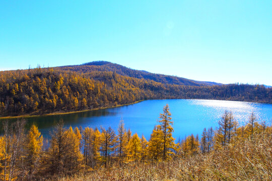 阿尔山秋景