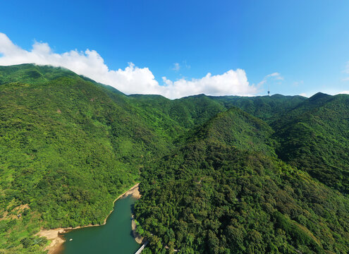 深圳梧桐山