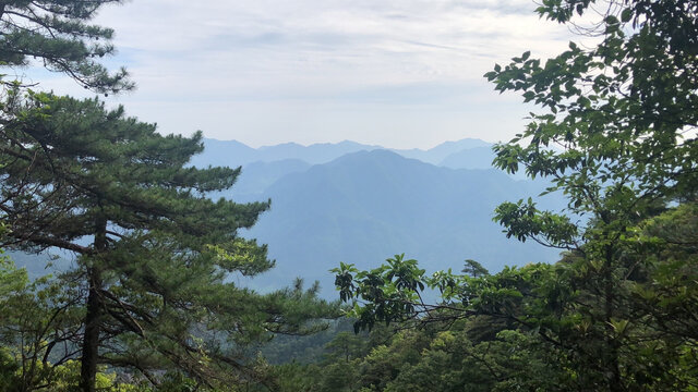 奇松与山