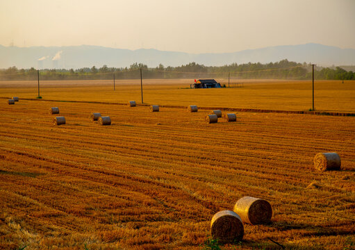 日落时分堆放在田里的麦草捆