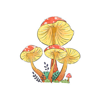 植物菌类小蘑菇水彩插画