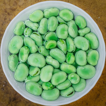 绿蚕豆