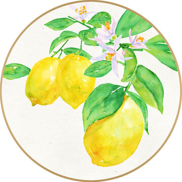 水彩手绘柠檬装饰画团扇设计