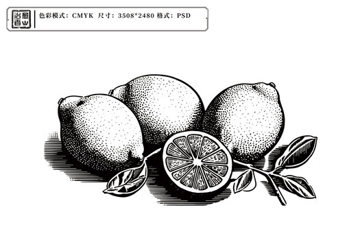 柠檬插画黑白版画