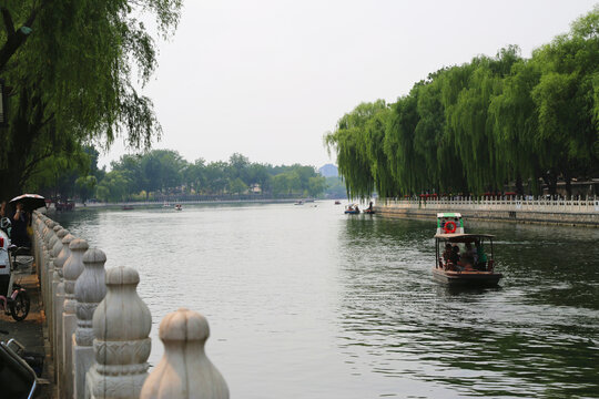 什刹海夏季景色