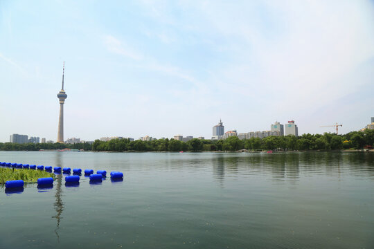 北京玉渊潭公园夏季景色