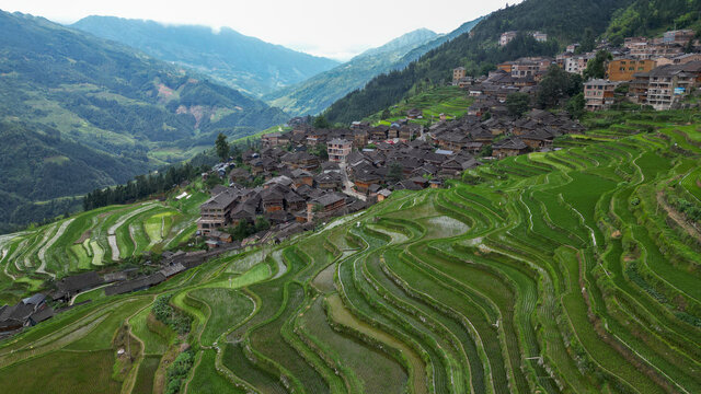 加榜梯田