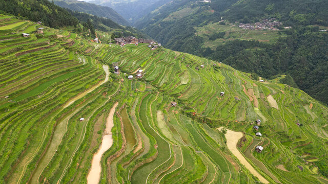 加榜梯田