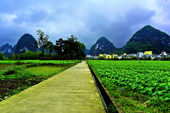 广西旧州风景