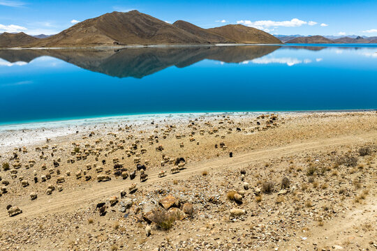 西藏浪卡子羊卓雍措湖夏日景美