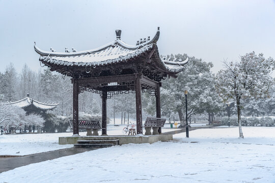 义乌香雪园园林雪景景观