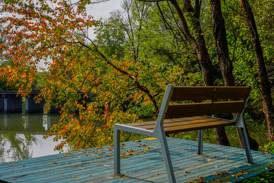 秋天的西溪湿地公园
