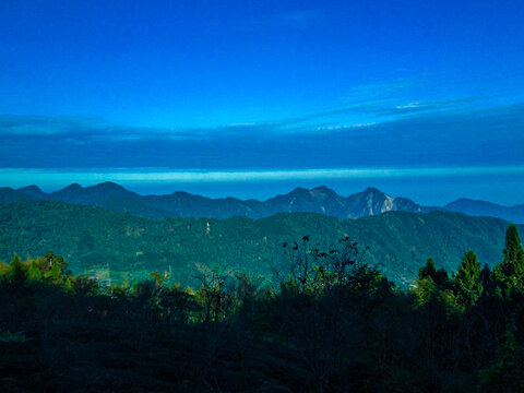 阿里山