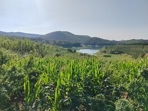 田园风光