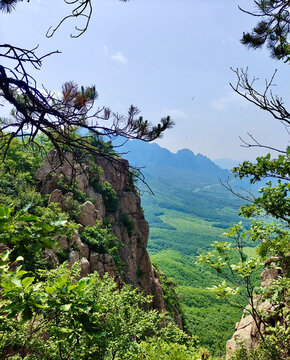 夏日深山