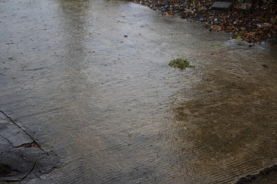 雨水