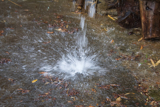 雨水