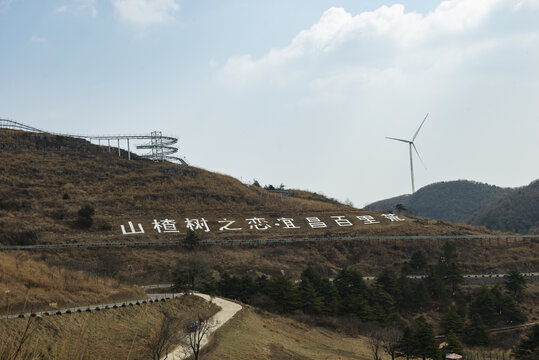 宜昌百里荒景区