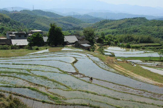 梯田