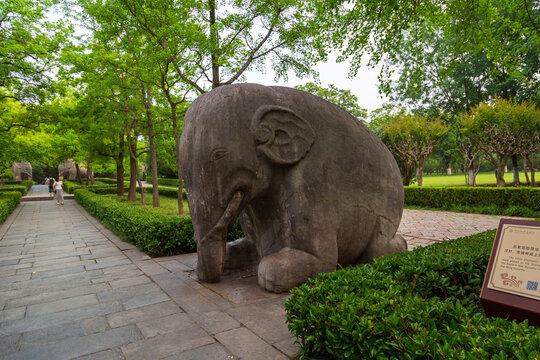 南京明孝陵石象路