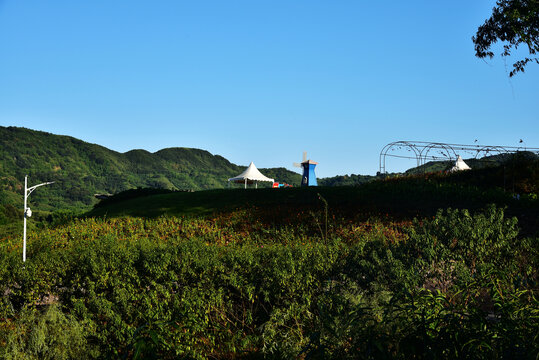 山川田野