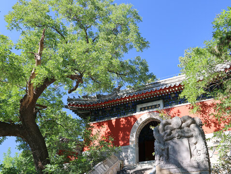 北京八大处证果寺