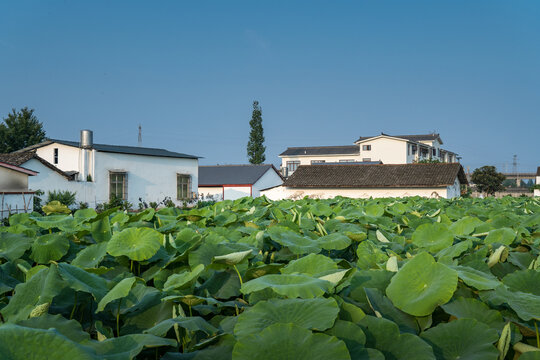 永丰村民居