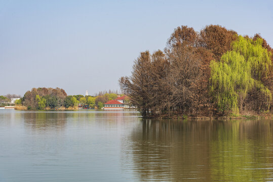 湖景