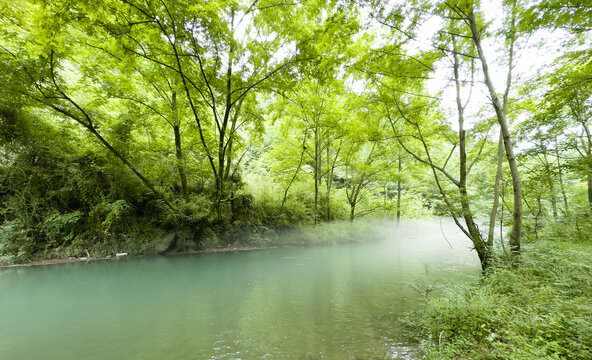 青山绿水