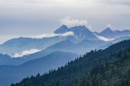 山川林海云雾