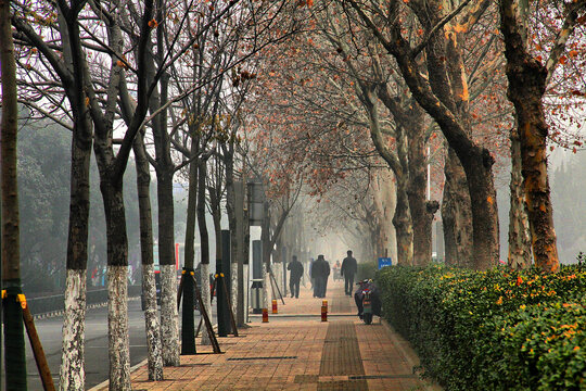 济南城市大雾