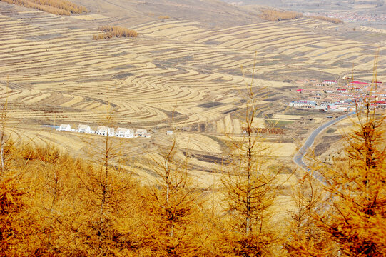 张家口坝上秋景