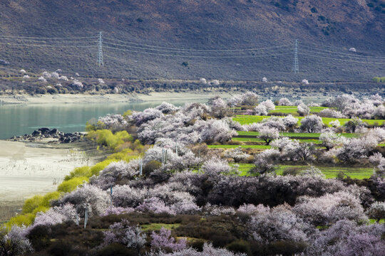 雅鲁藏布江峡谷风光12