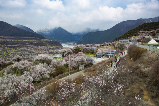 雅鲁藏布江峡谷风光68