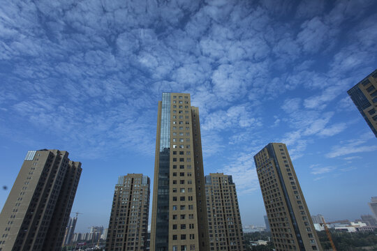 蓝天白云下城市的高楼