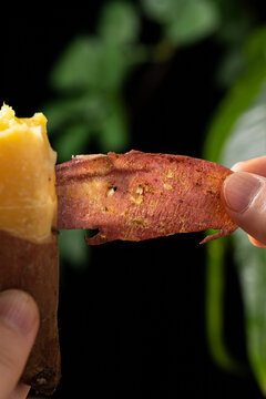 地瓜沙地番薯板栗红薯蜜薯