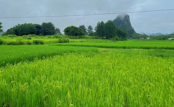 桂林山水