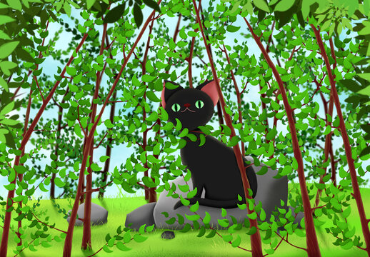 森林猫