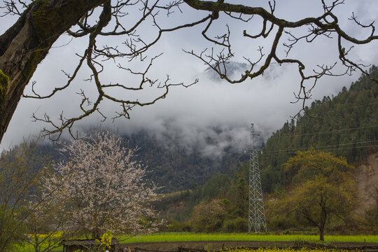 川藏南线路上风景37