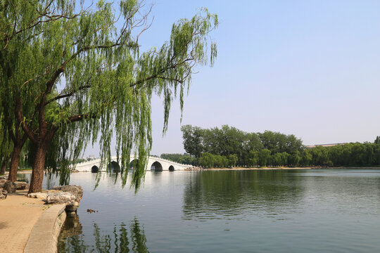 北京玉渊潭公园夏季景色